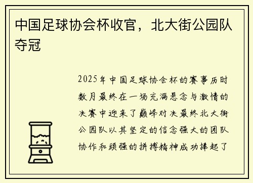 中国足球协会杯收官，北大街公园队夺冠
