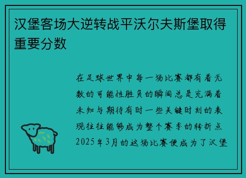 汉堡客场大逆转战平沃尔夫斯堡取得重要分数