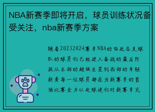 NBA新赛季即将开启，球员训练状况备受关注，nba新赛季方案
