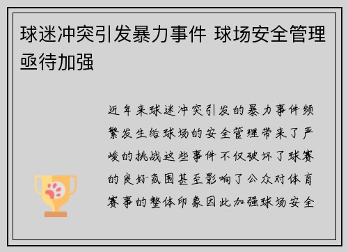 球迷冲突引发暴力事件 球场安全管理亟待加强